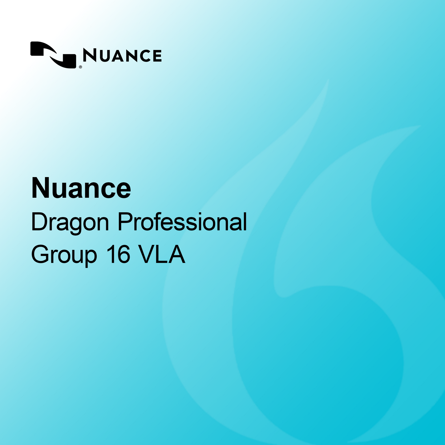Nuance Dragon Profesyonel Grup 16 VLA