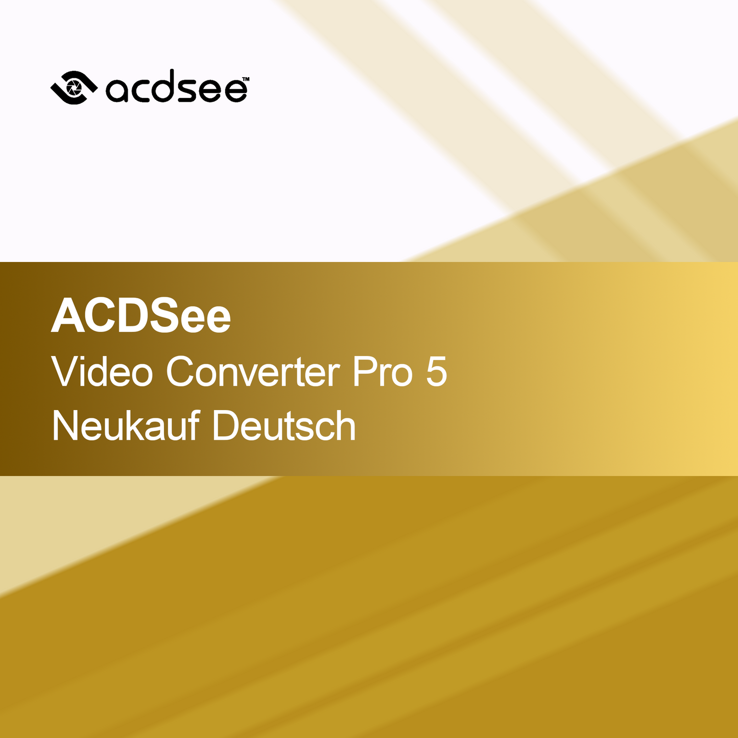 ACDSee Convertor Video Pro 5